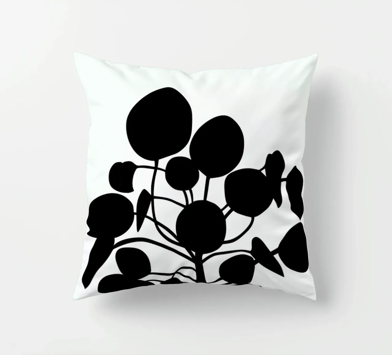 Pilea cuscino da Oh Darling