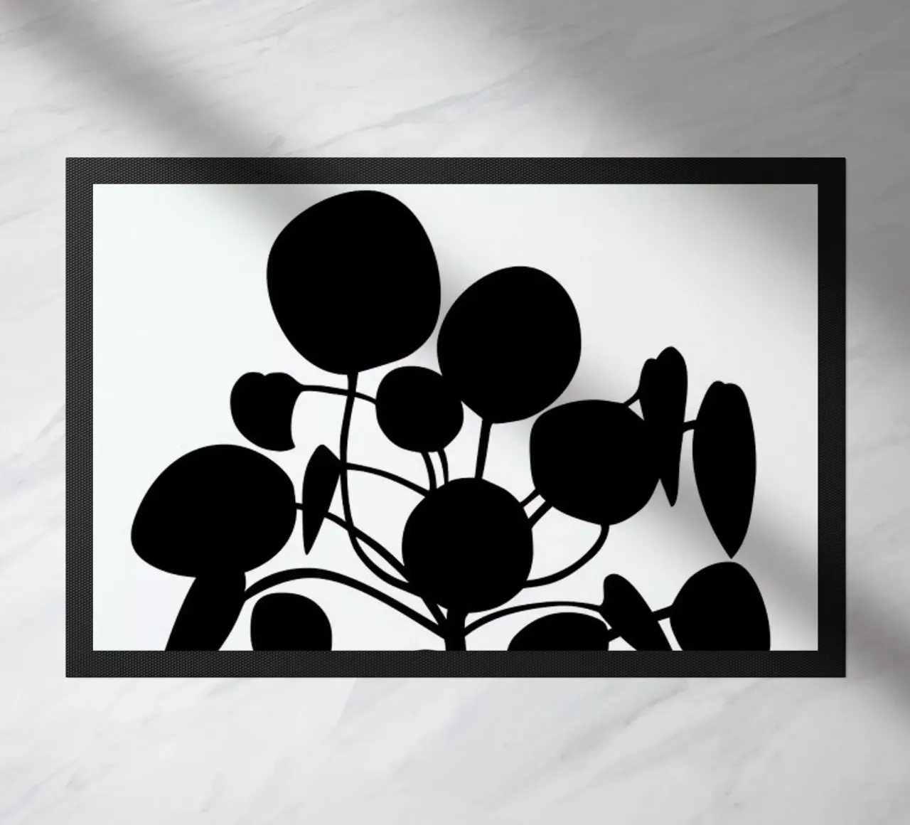 Pilea zerbino da Oh Darling