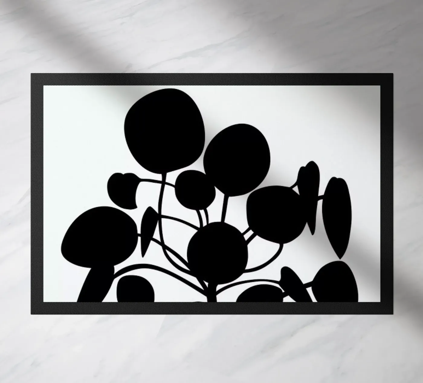 Pilea zerbino da Oh Darling