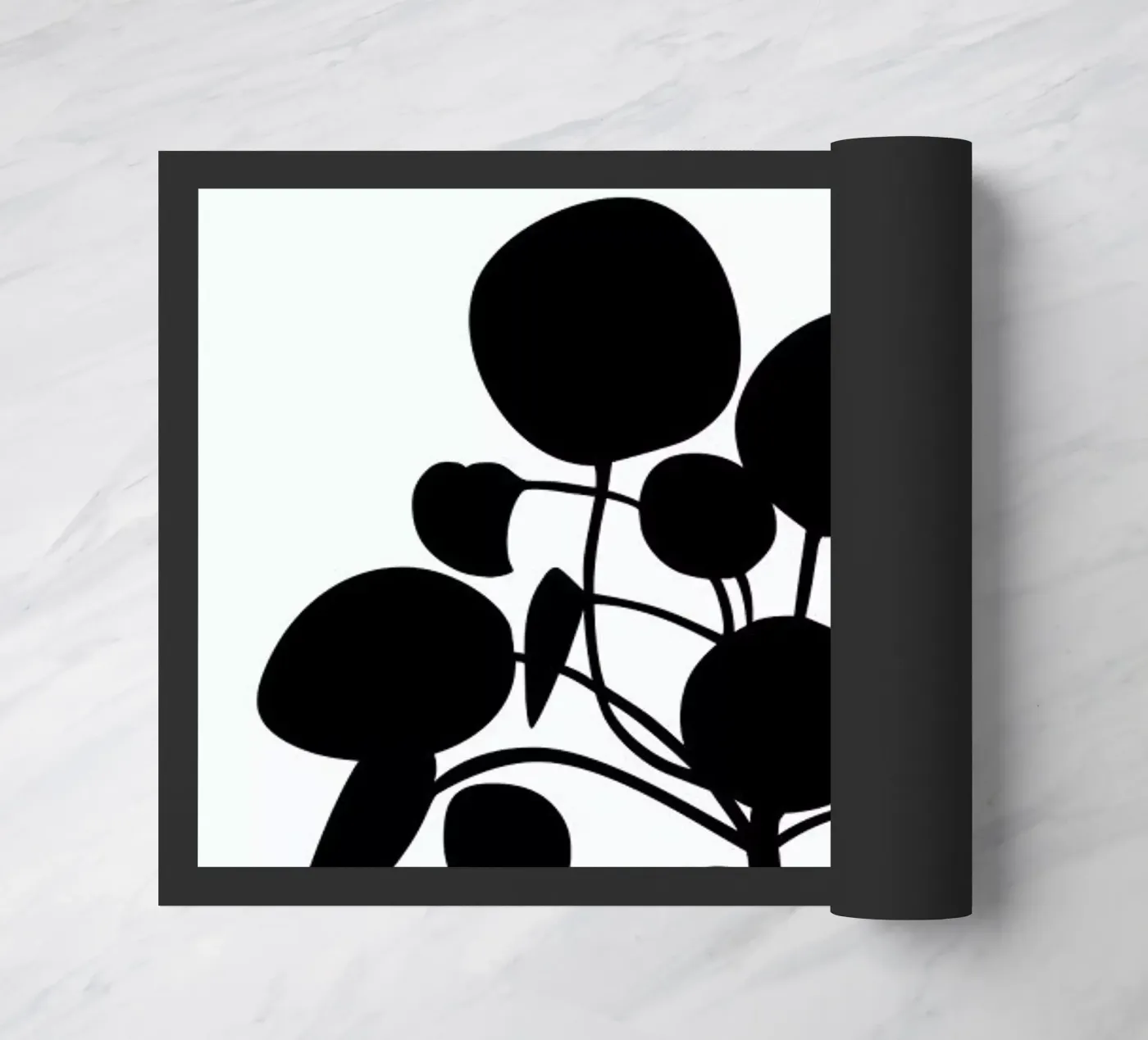 Pilea zerbino da Oh Darling