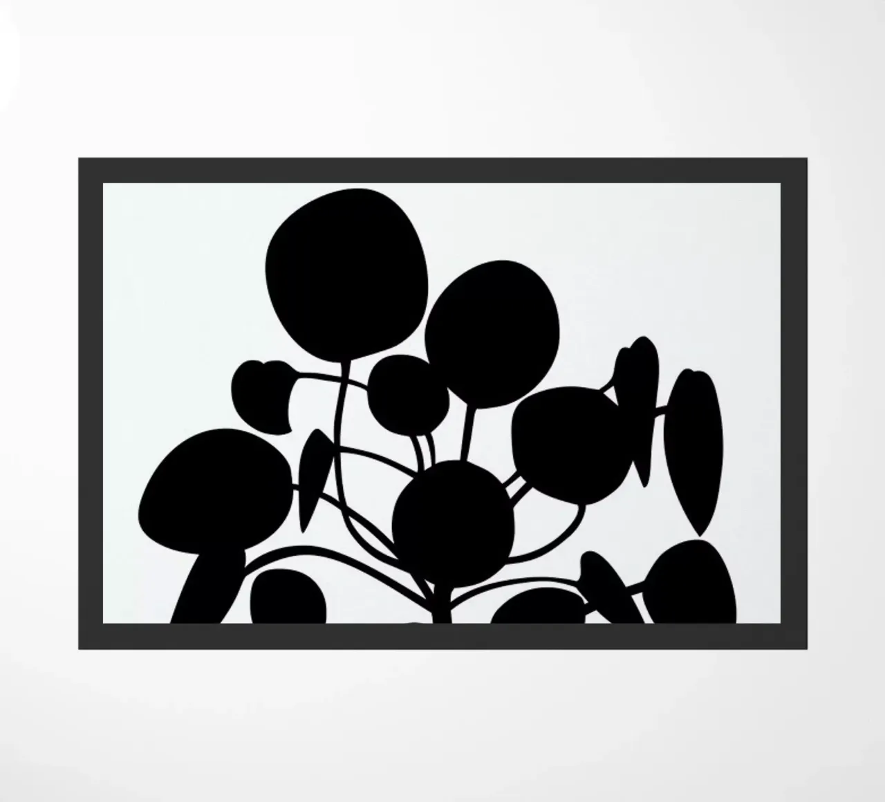 Pilea zerbino da Oh Darling