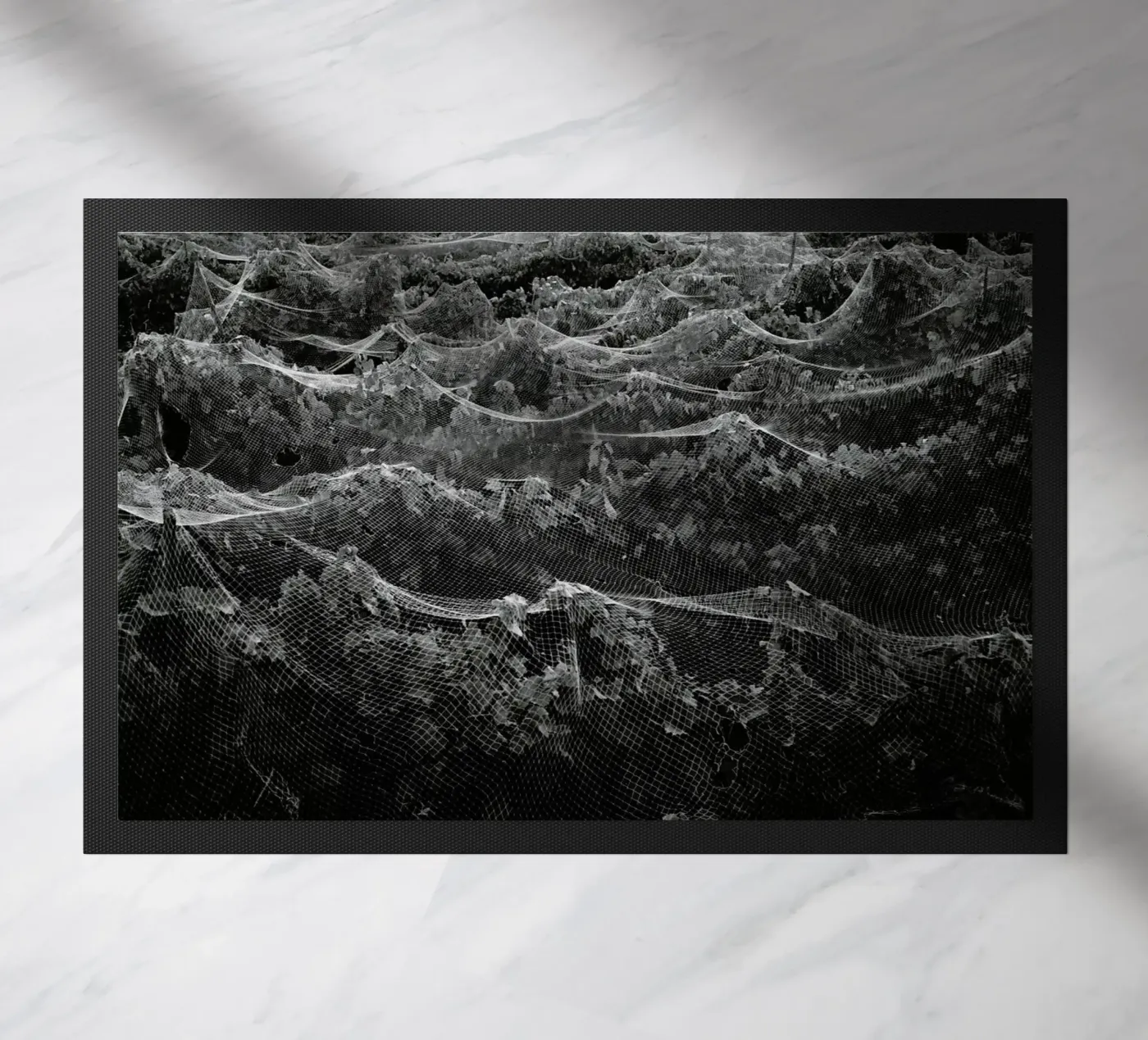 Links zerbino da Picture On The Fridge