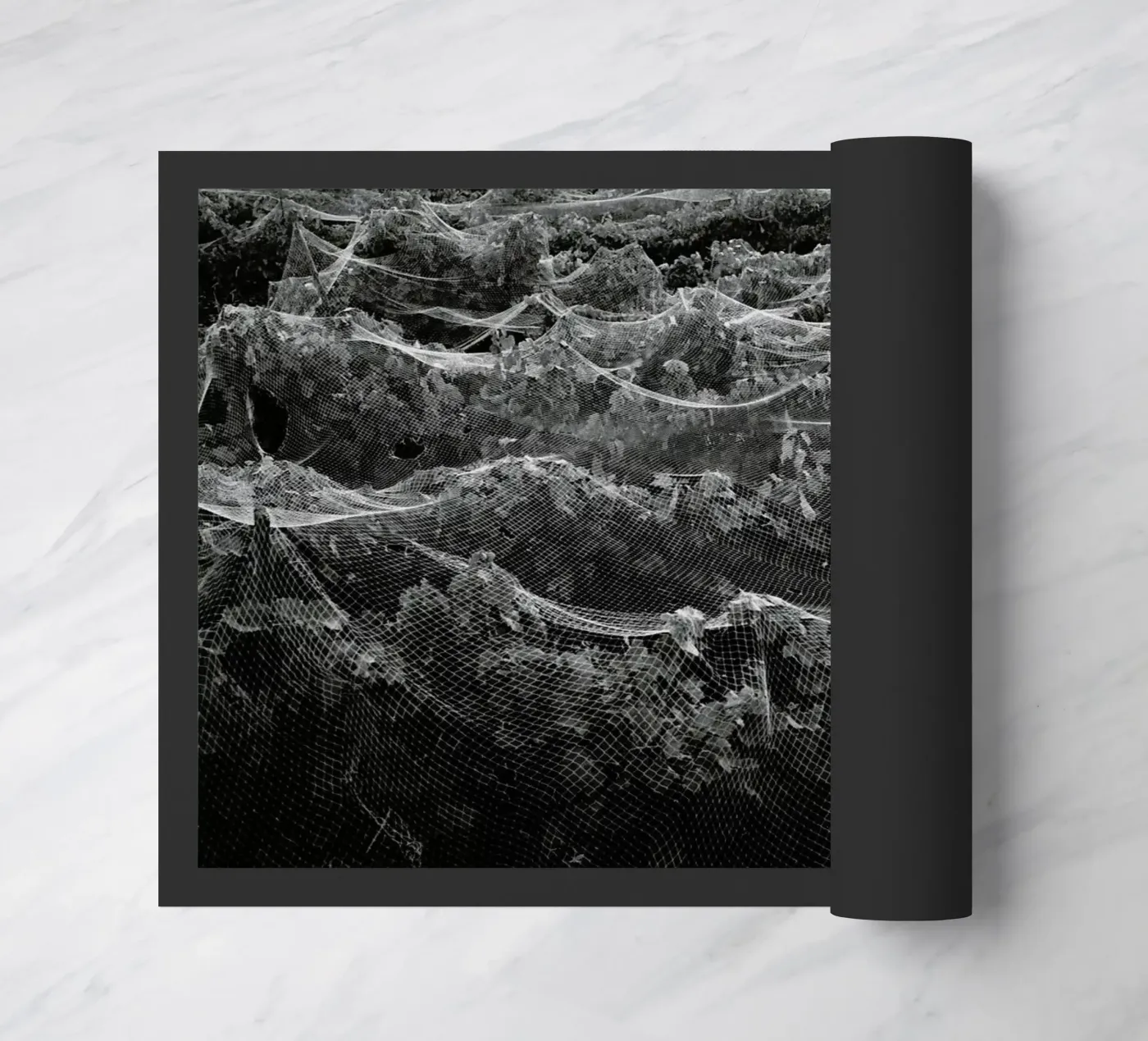 Links zerbino da Picture On The Fridge