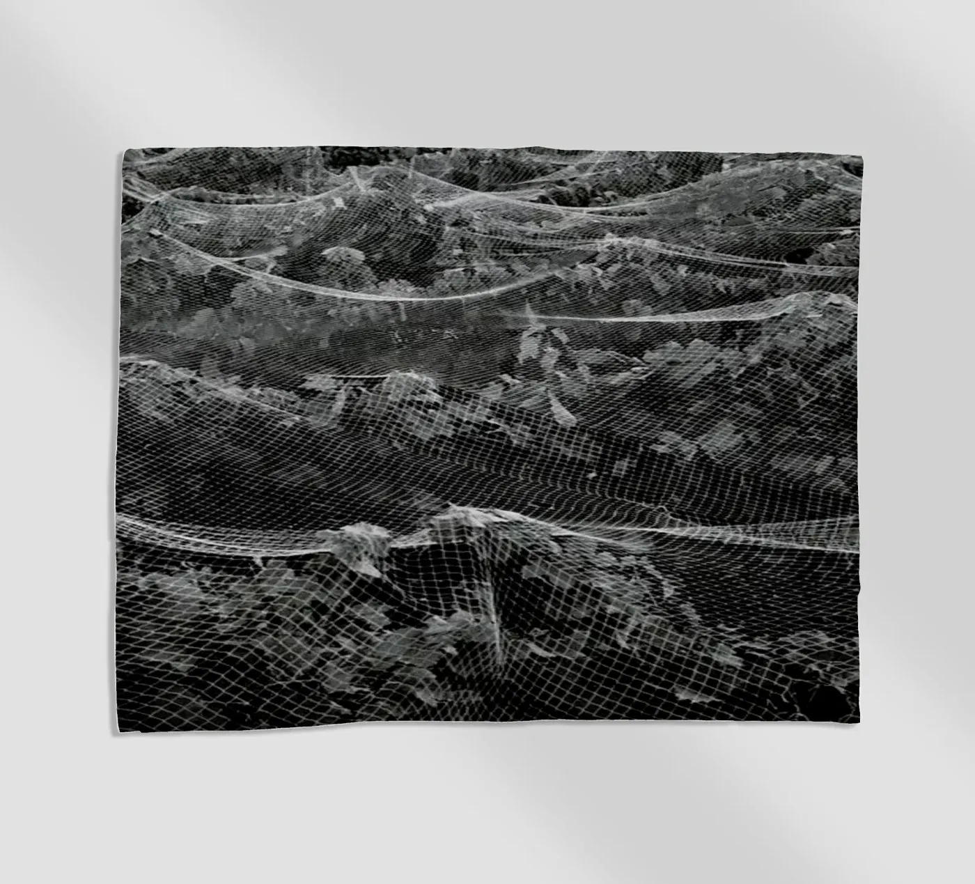 Links telo mare da Picture On The Fridge