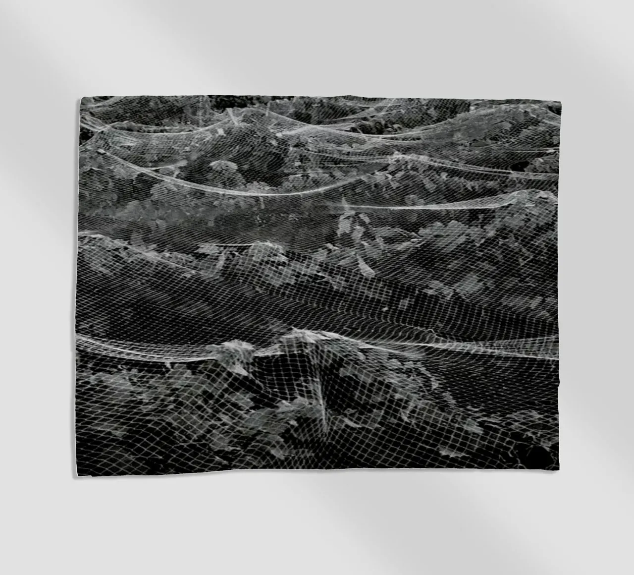 Links telo mare da Picture On The Fridge