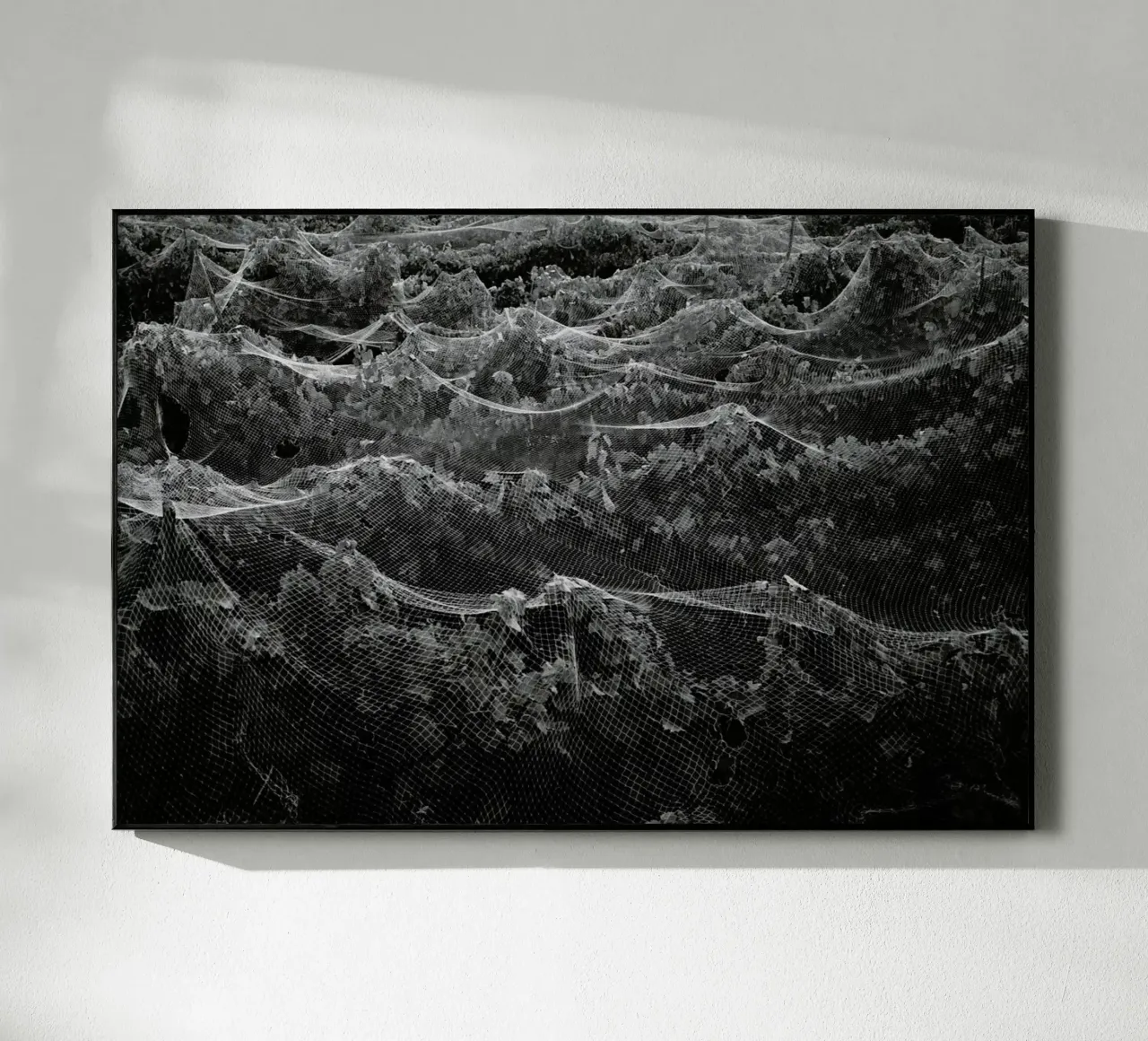 Links plexiglass da Picture On The Fridge