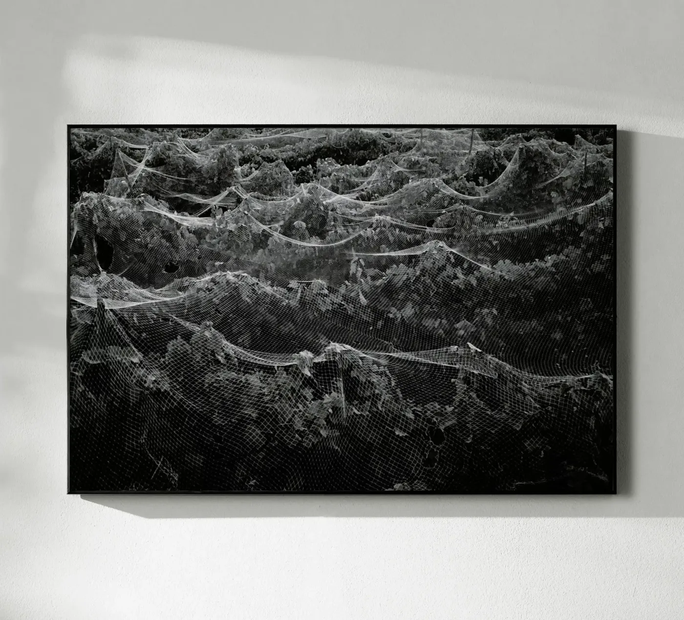 Links Acryl-Glas von Picture On The Fridge