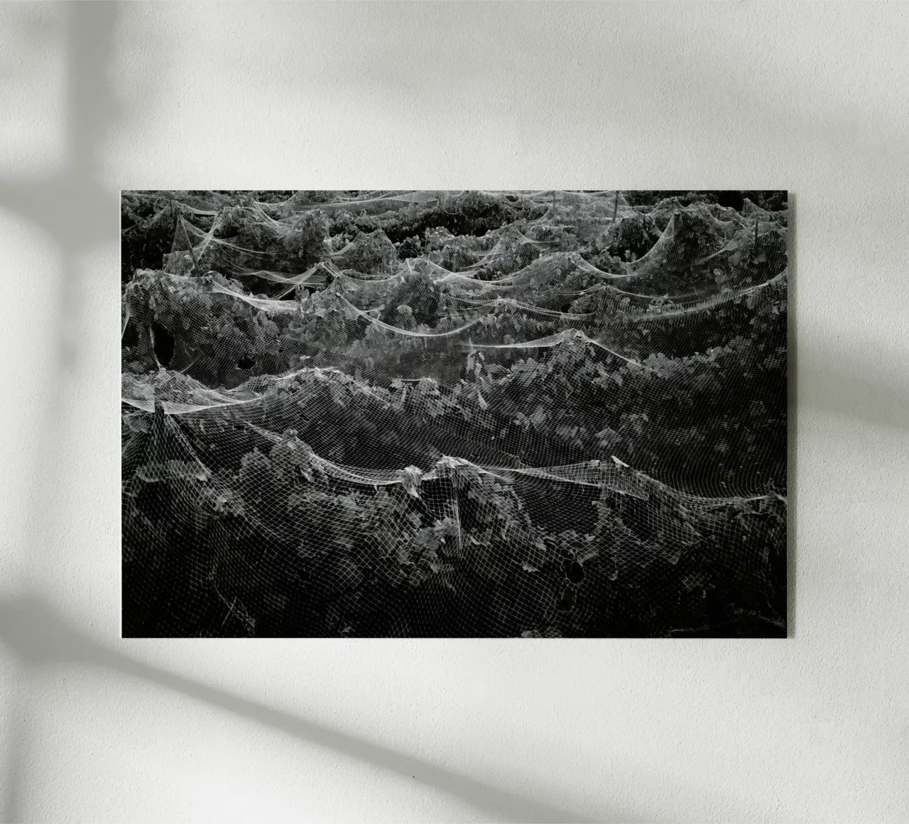 Links plexiglass da Picture On The Fridge