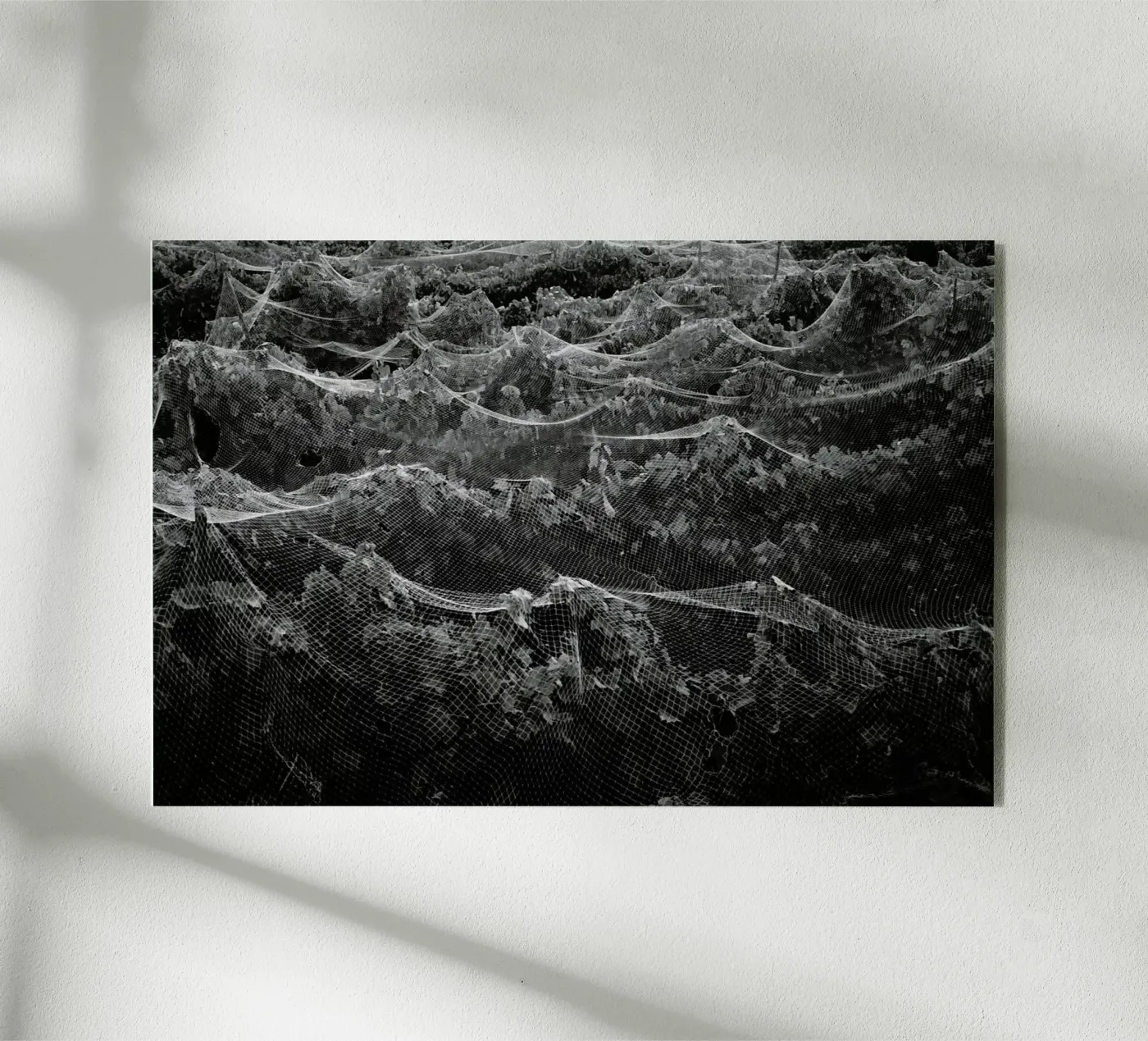 Links Acryl-Glas von Picture On The Fridge