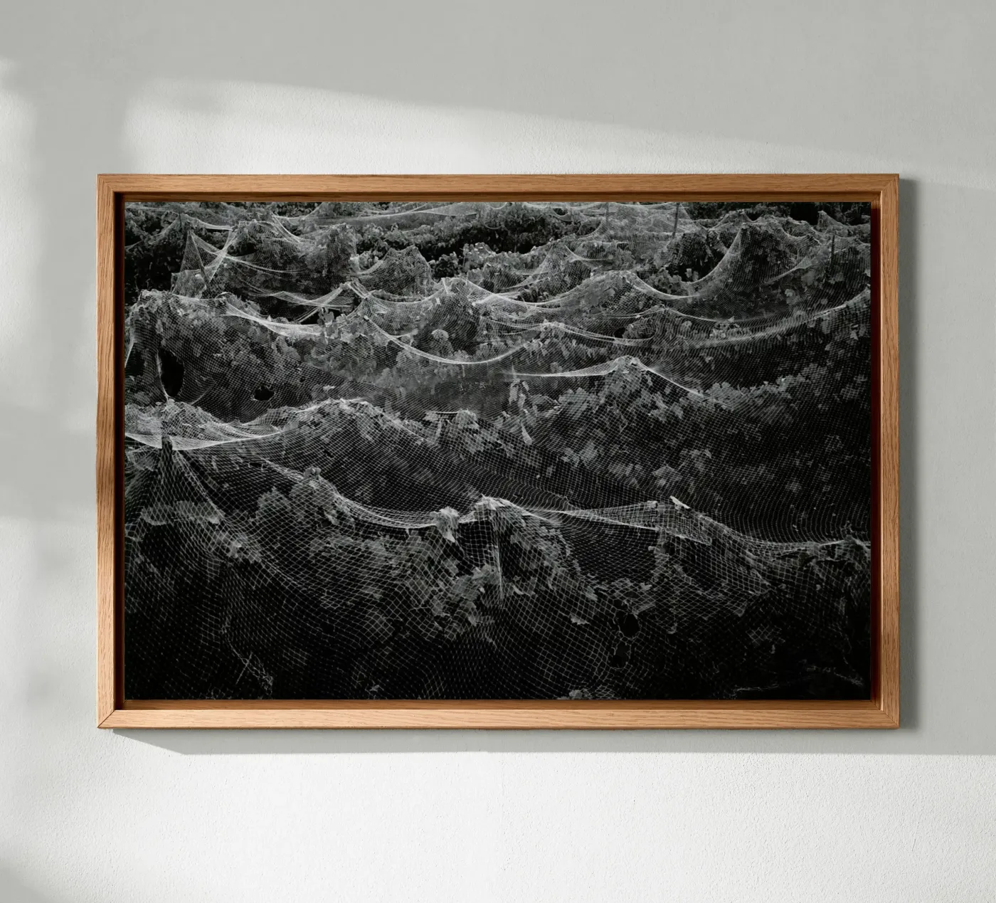 Links tela da Picture On The Fridge