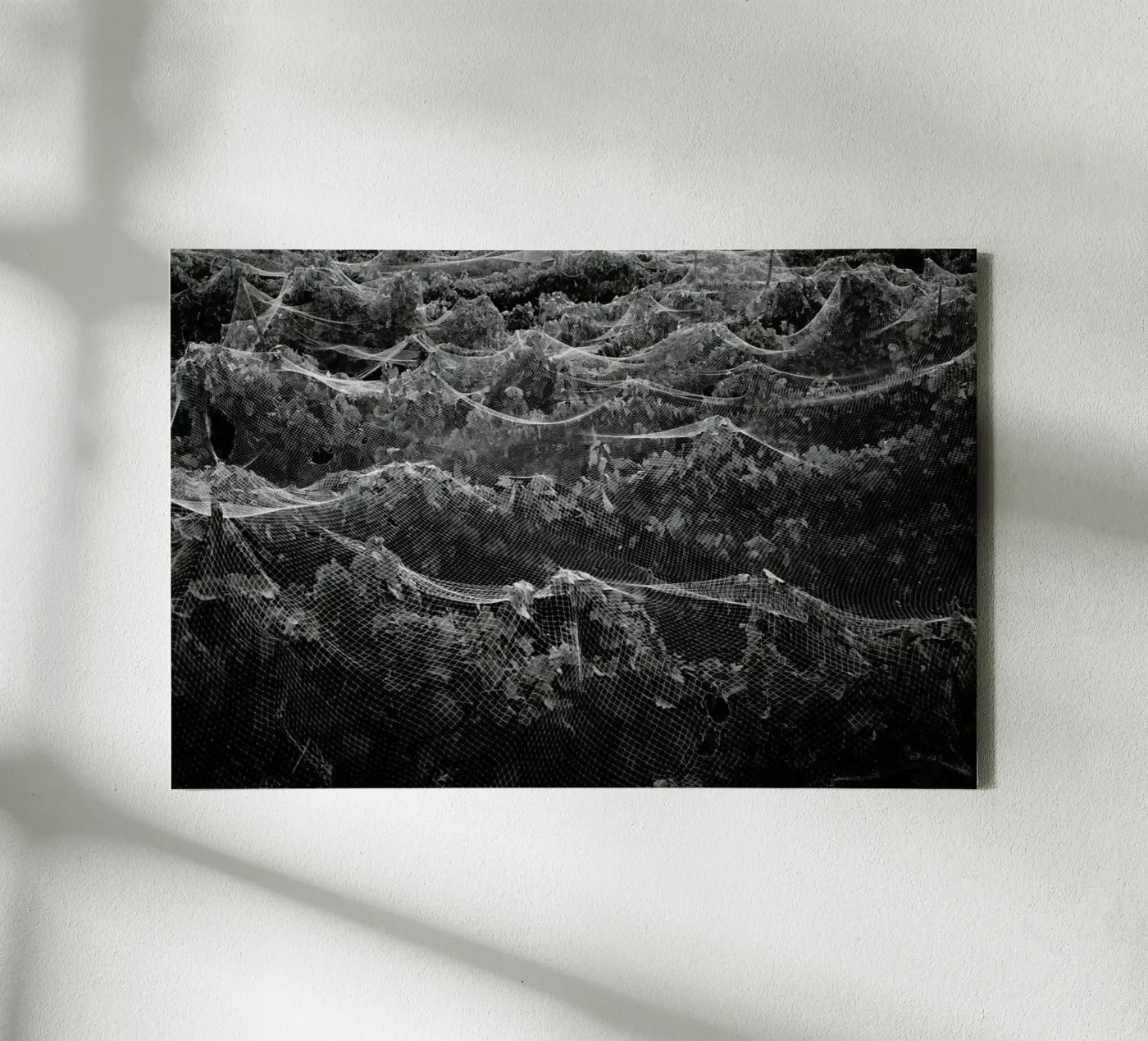 Links tela da Picture On The Fridge