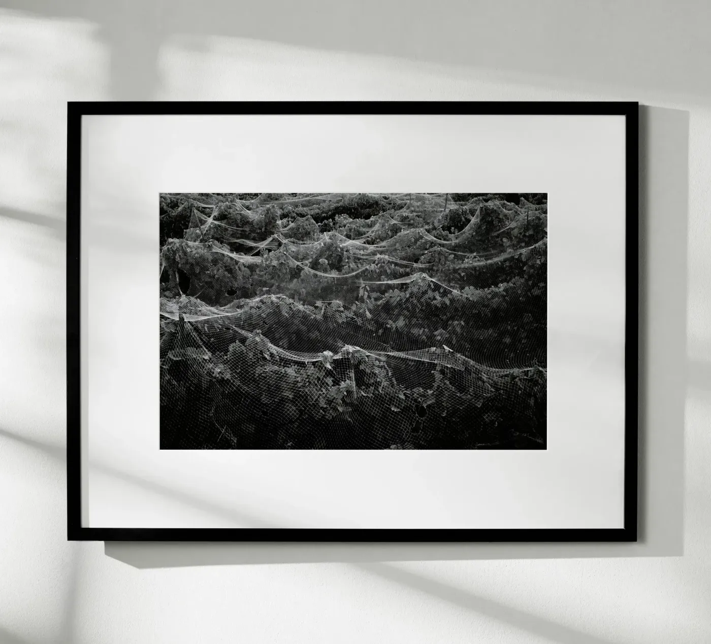 Links poster van Picture On The Fridge