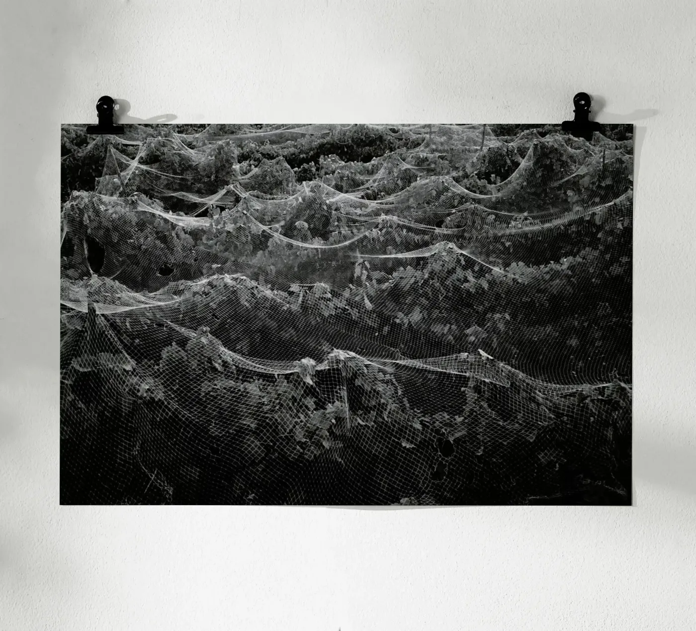 Links poster van Picture On The Fridge