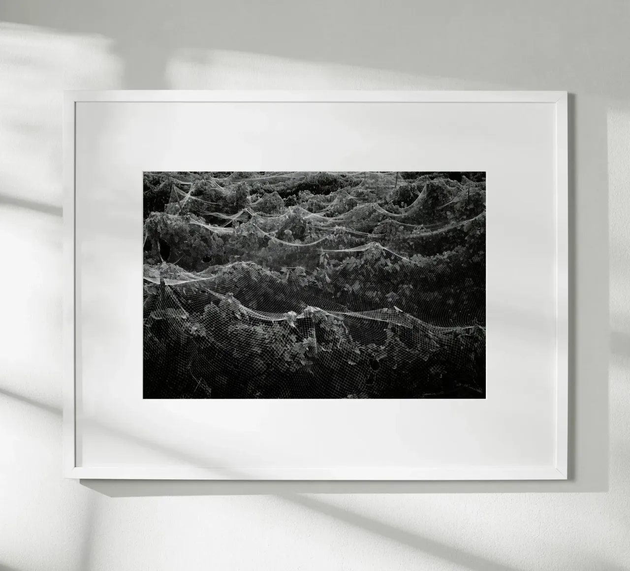 Links poster da Picture On The Fridge