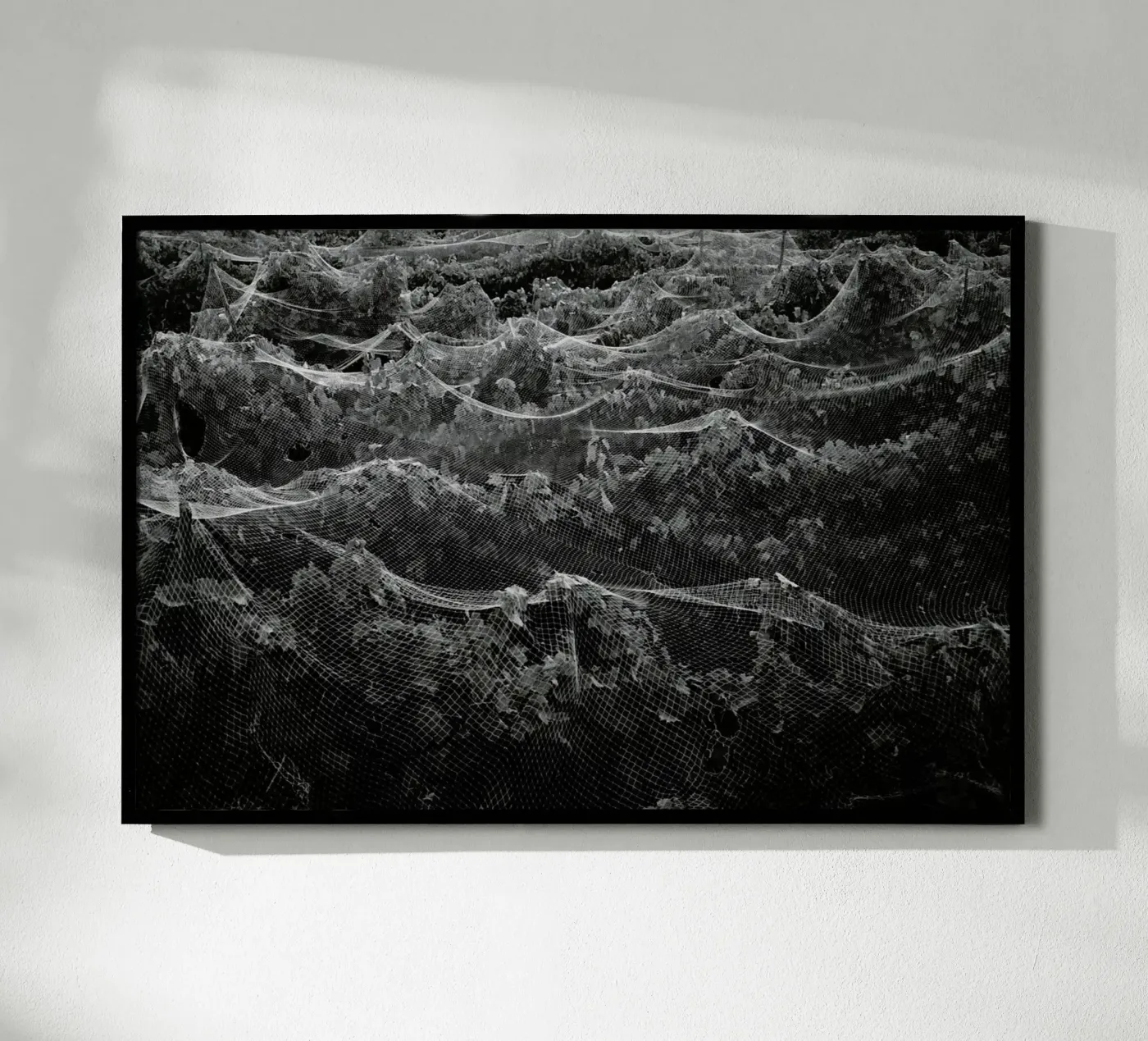 Links poster van Picture On The Fridge