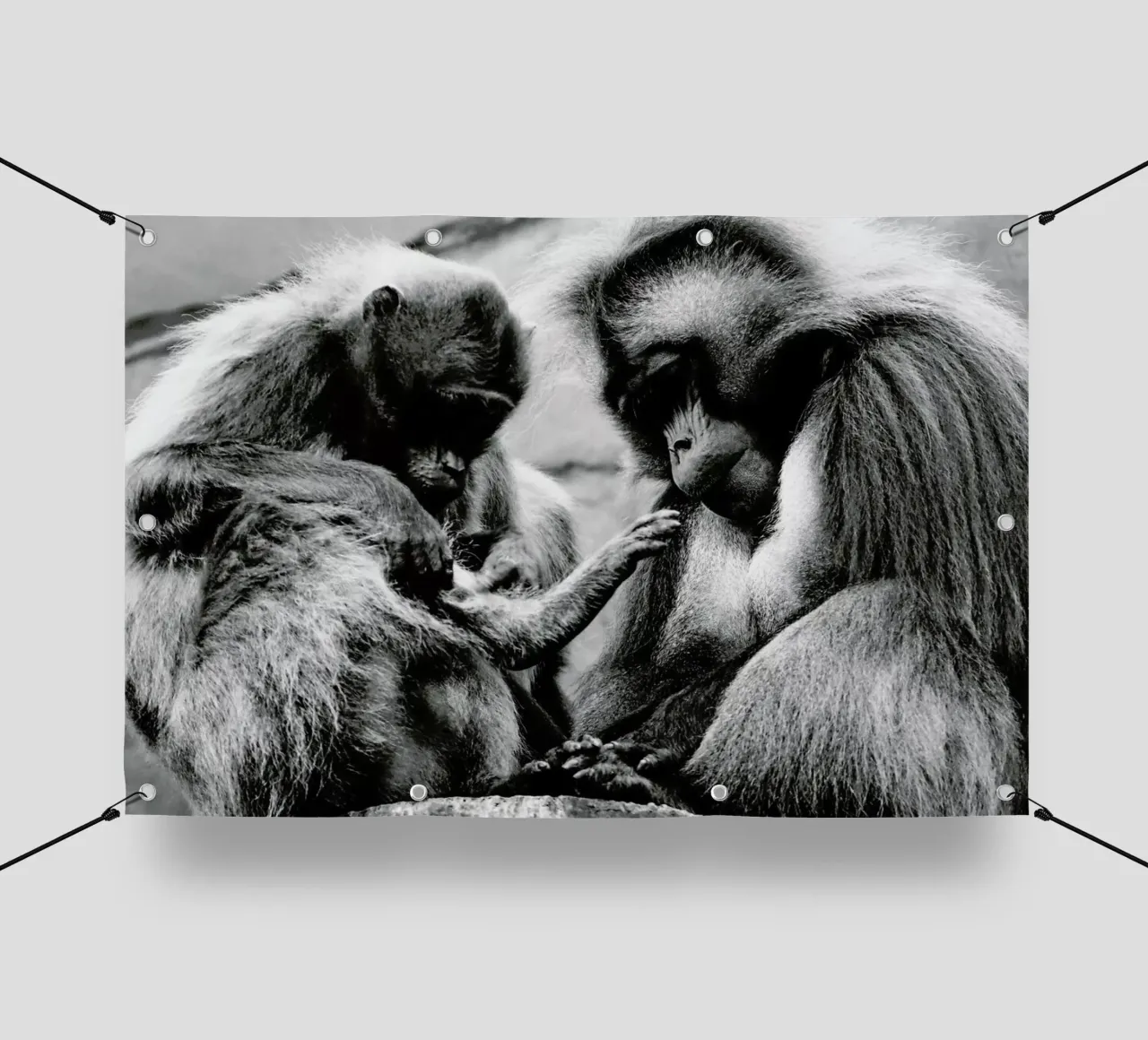 Monkey Family telo in pvc da Babett Schultze