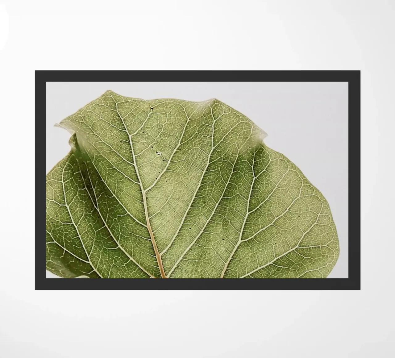 Abutifolia 03 deurmat van Shot By Clint