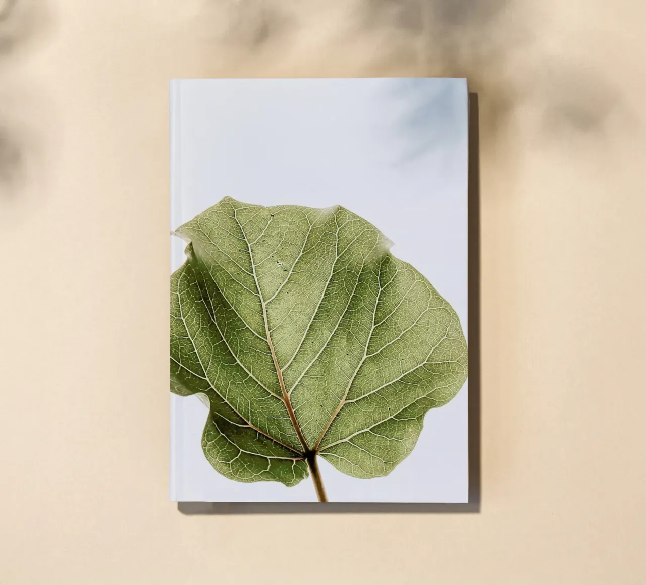 Abutifolia 03 notebook by Shot By Clint