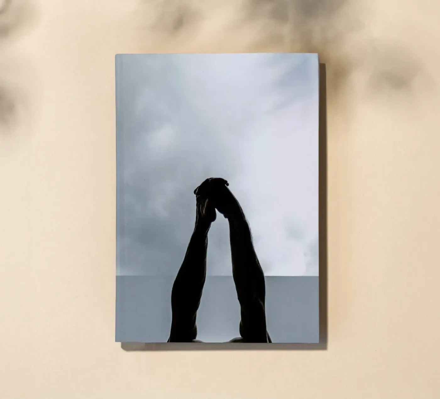 Stretch notebook by Chris Abatzis