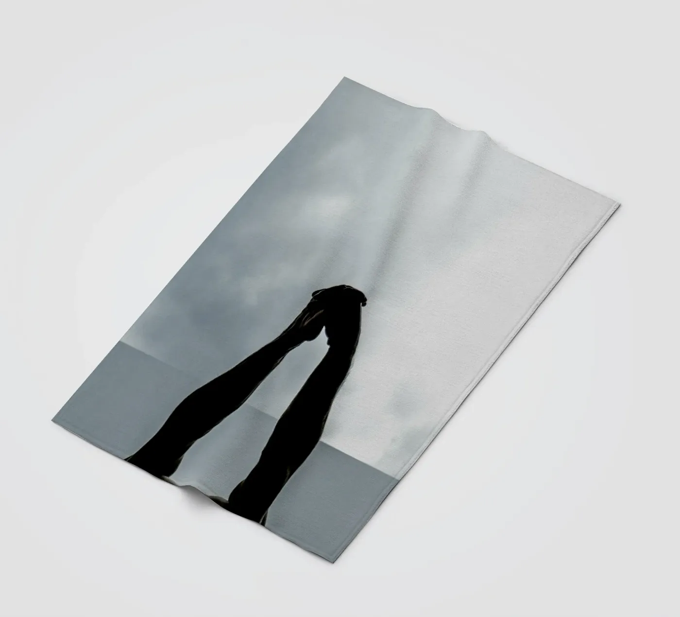 Stretch Fleecedecke von Chris Abatzis