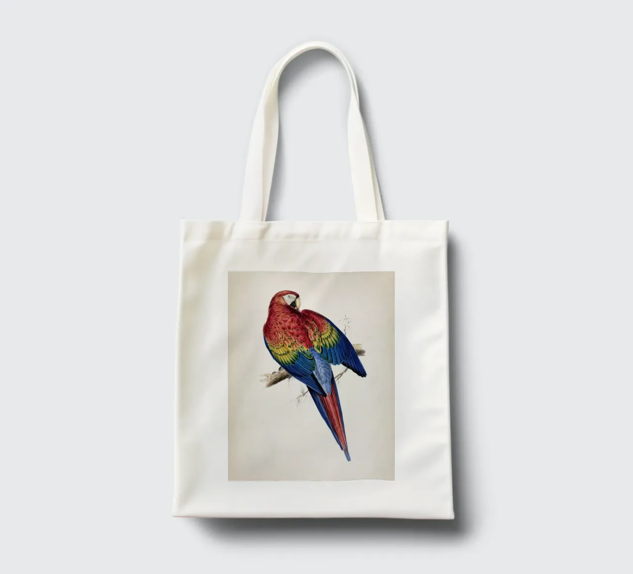 Vintage Lear 1 Macrocerus Aracanga borsa in juta da Vintage Print Collection