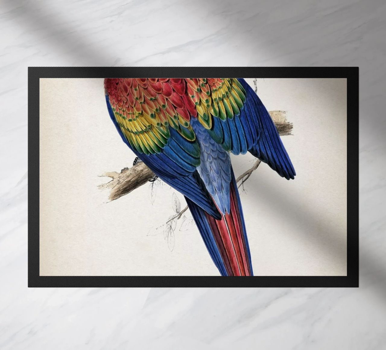 Vintage Lear 1 Macrocerus Aracanga zerbino da Vintage Print Collection