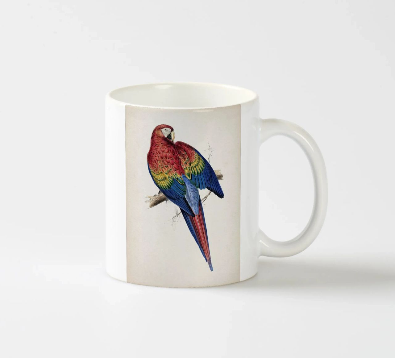 Vintage Lear 1 Macrocerus Aracanga tazza in ceramica da Vintage Print Collection
