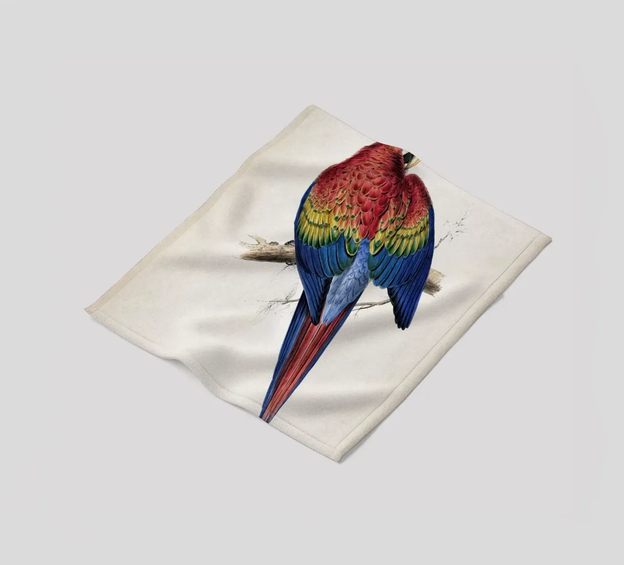 Vintage Lear 1 Macrocerus Aracanga coperta in pile da Vintage Print Collection