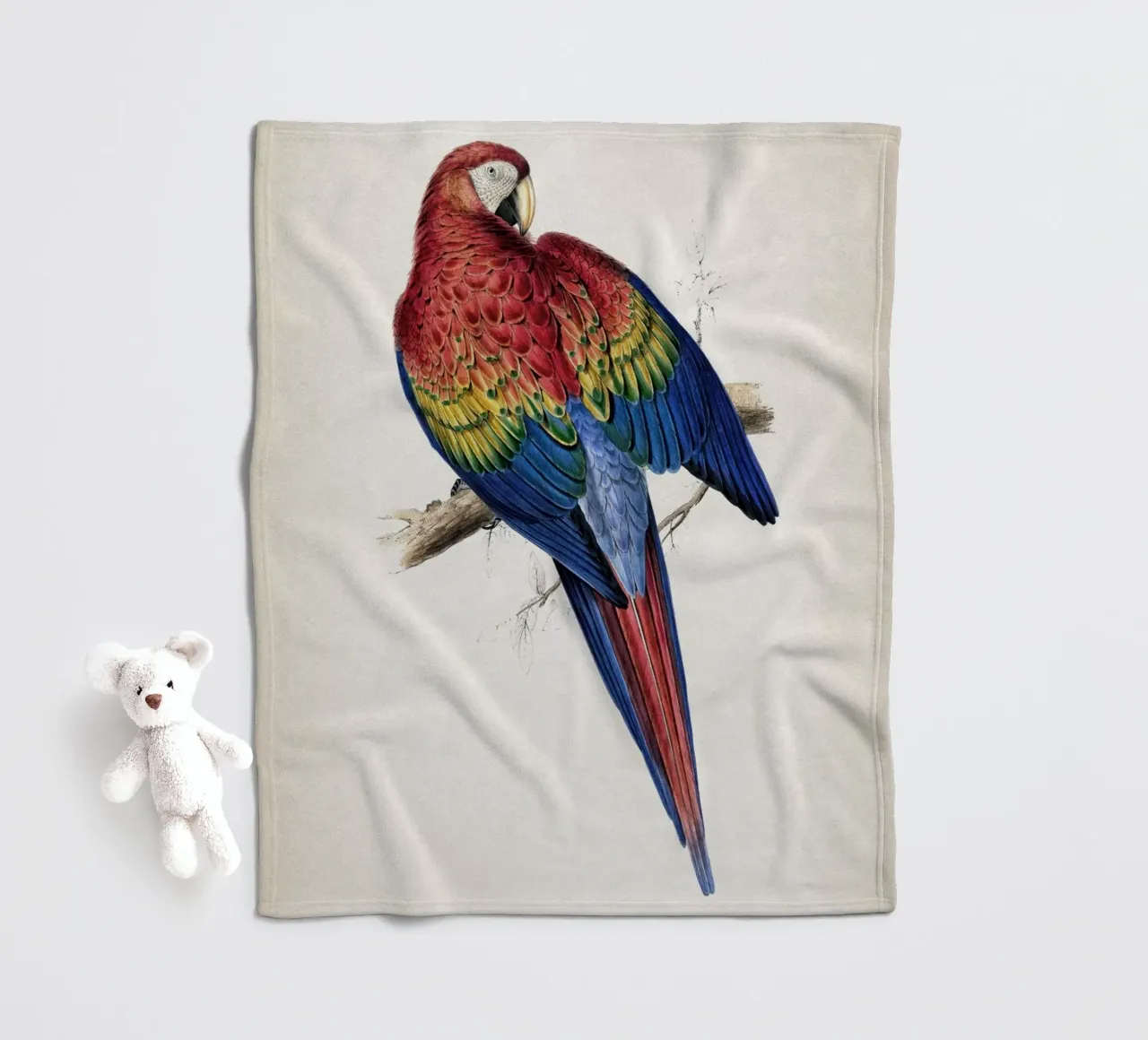 Vintage Lear 1 Macrocerus Aracanga coperta in pile da Vintage Print Collection