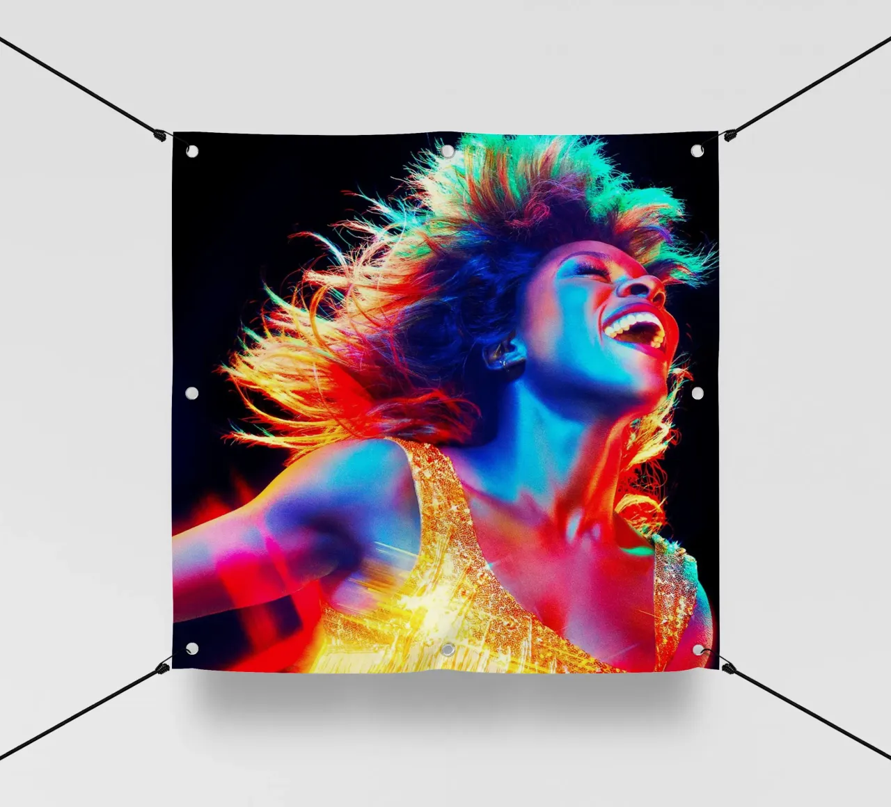 tina turner pvc cover by avissta