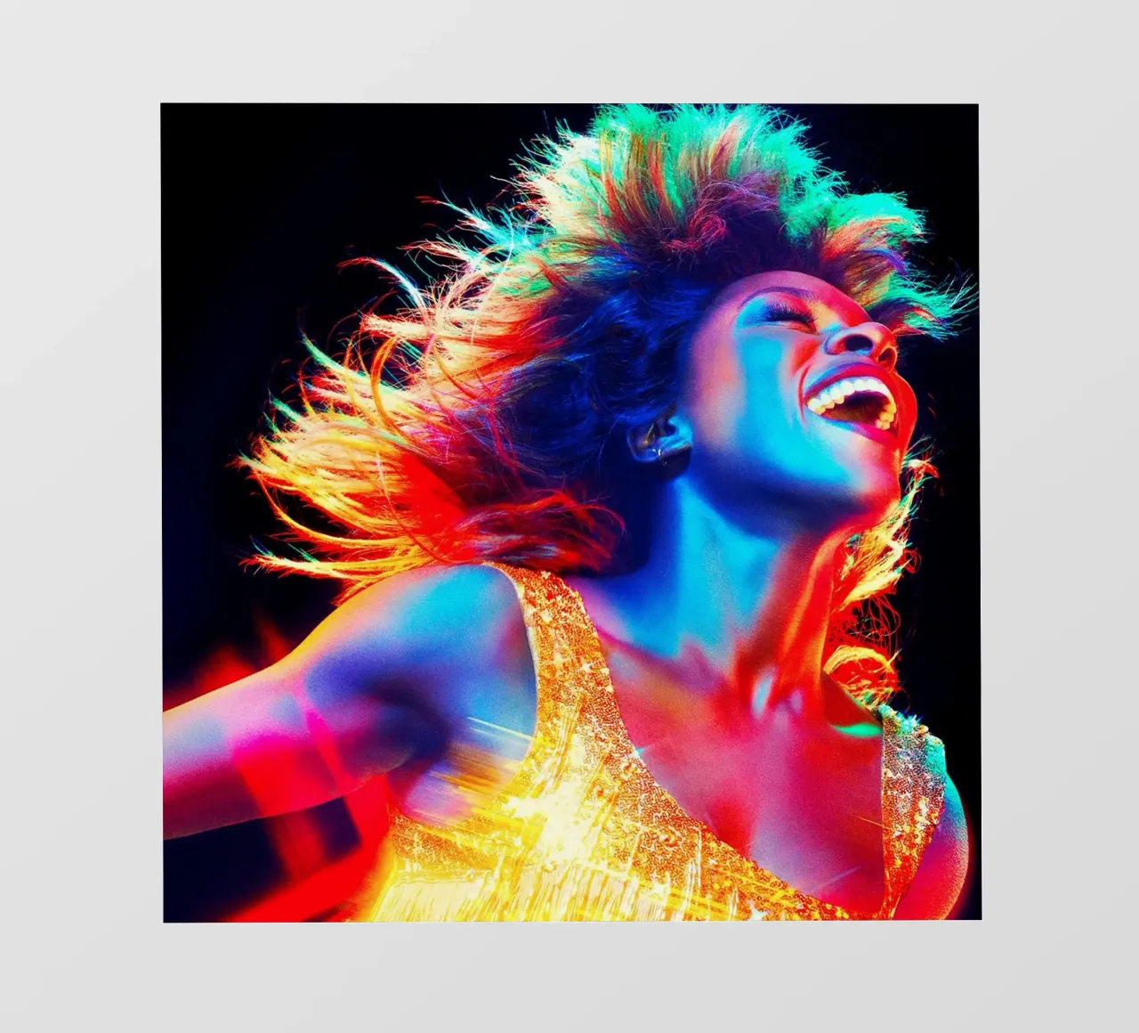 tina turner pvc cover by avissta