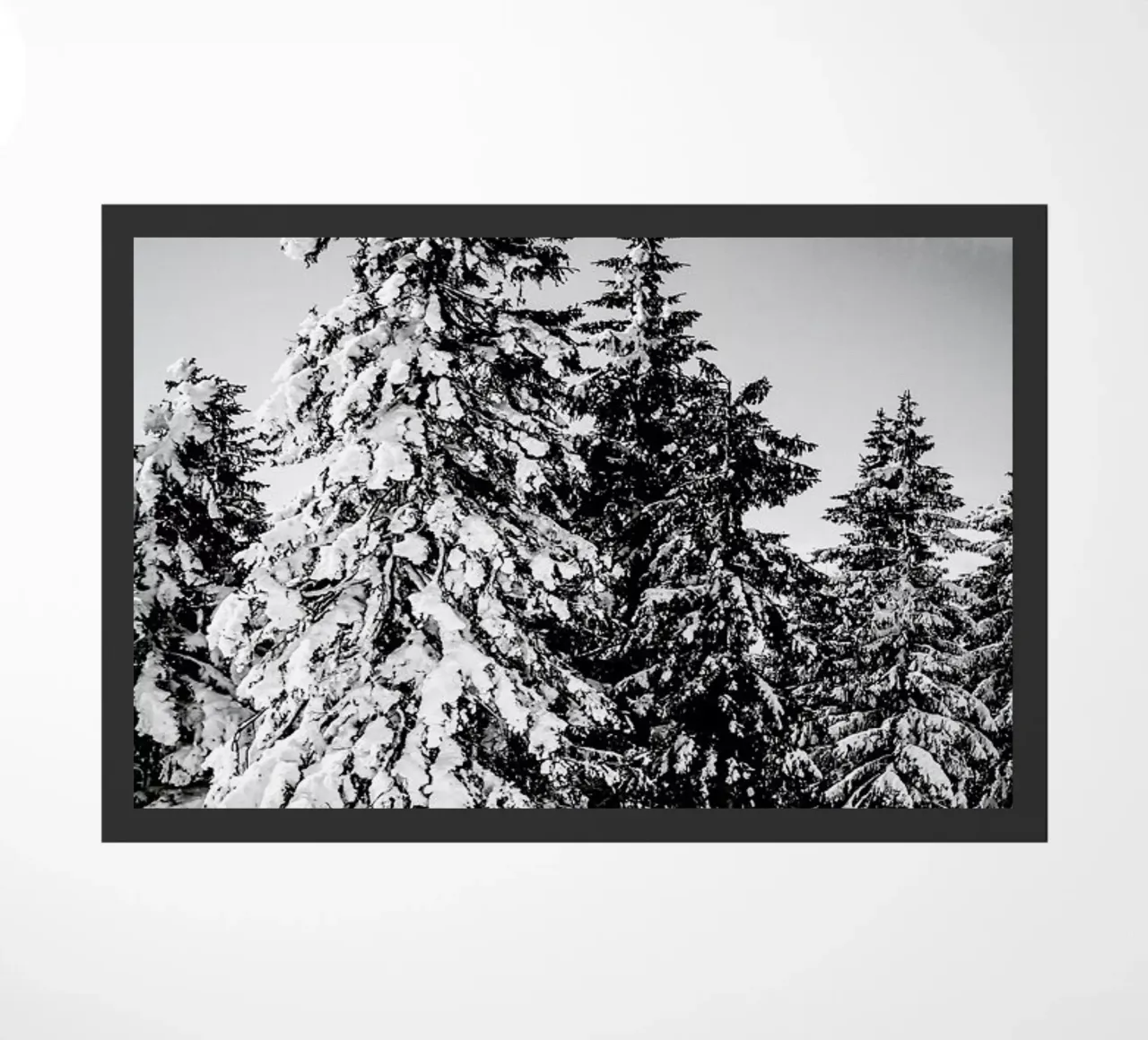 Snowy Trees zerbino da Babett Schultze