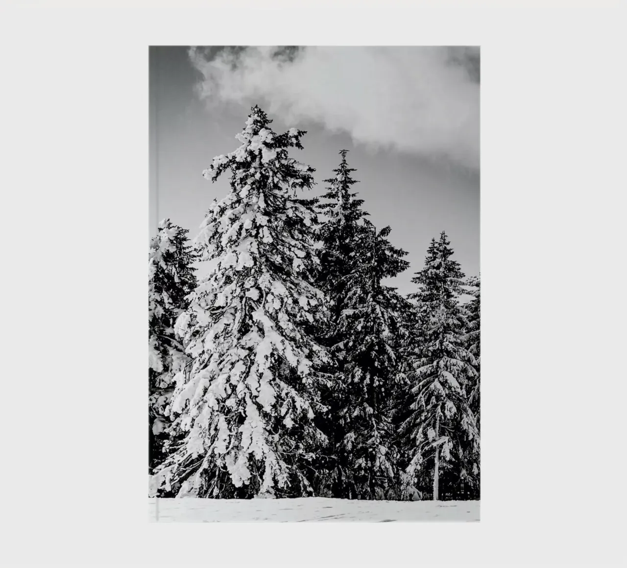 Snowy Trees notebook by Babett Schultze