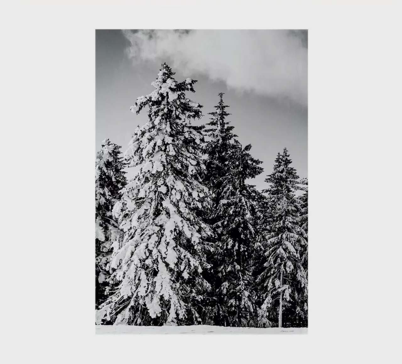 Snowy Trees notebook by Babett Schultze