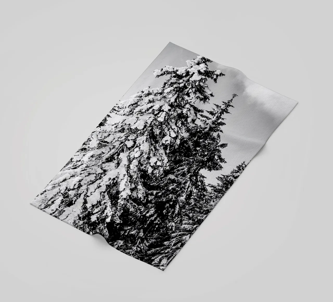 Snowy Trees telo mare da Babett Schultze