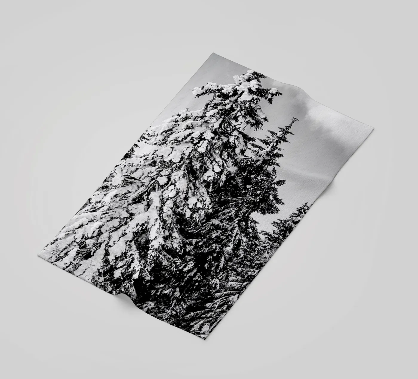 Snowy Trees telo mare da Babett Schultze