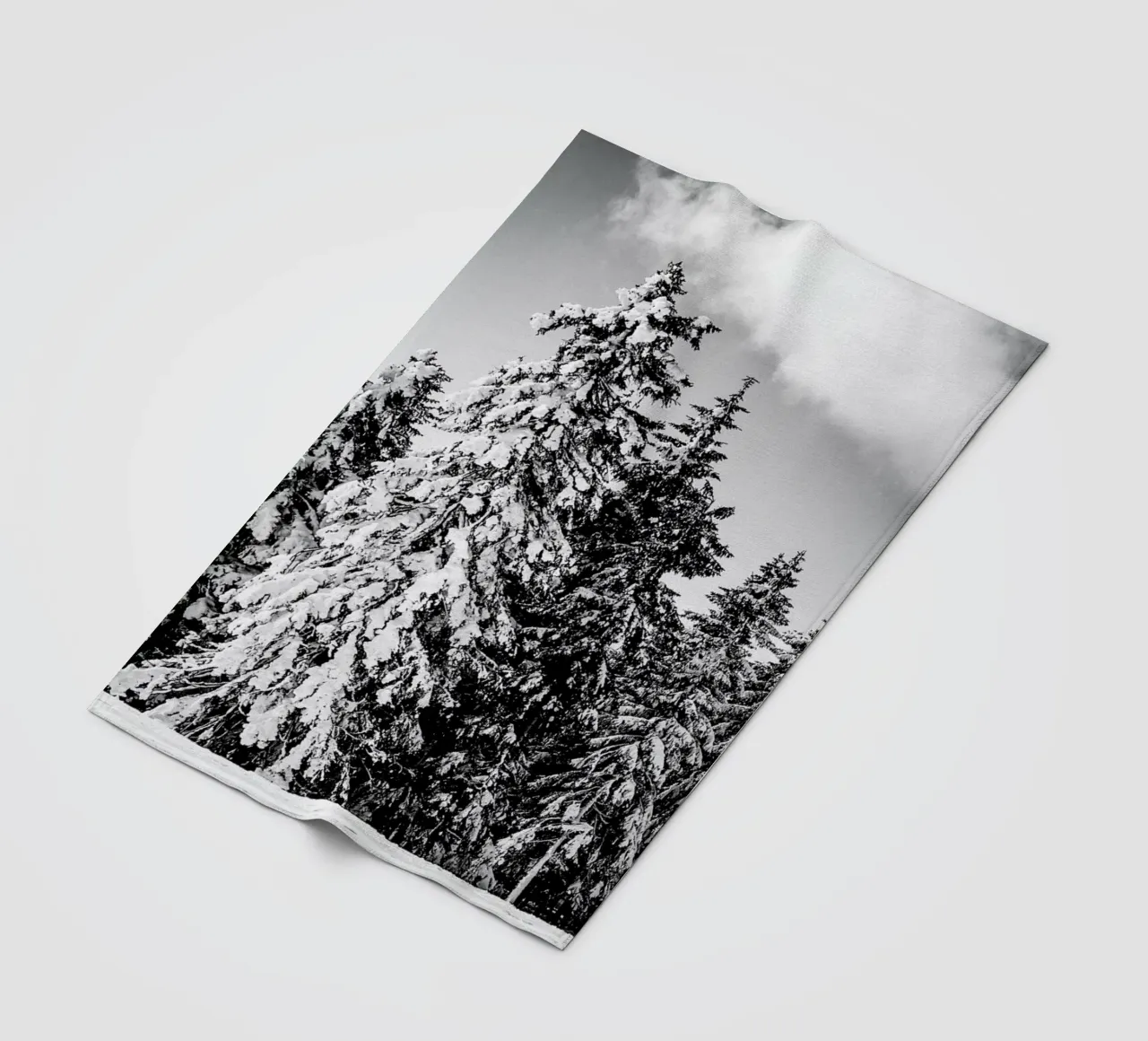 Snowy Trees coperta in pile da Babett Schultze