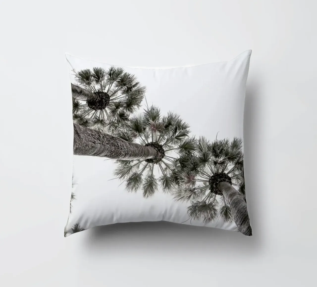 Desert Palm 02 cuscino da Shot By Clint