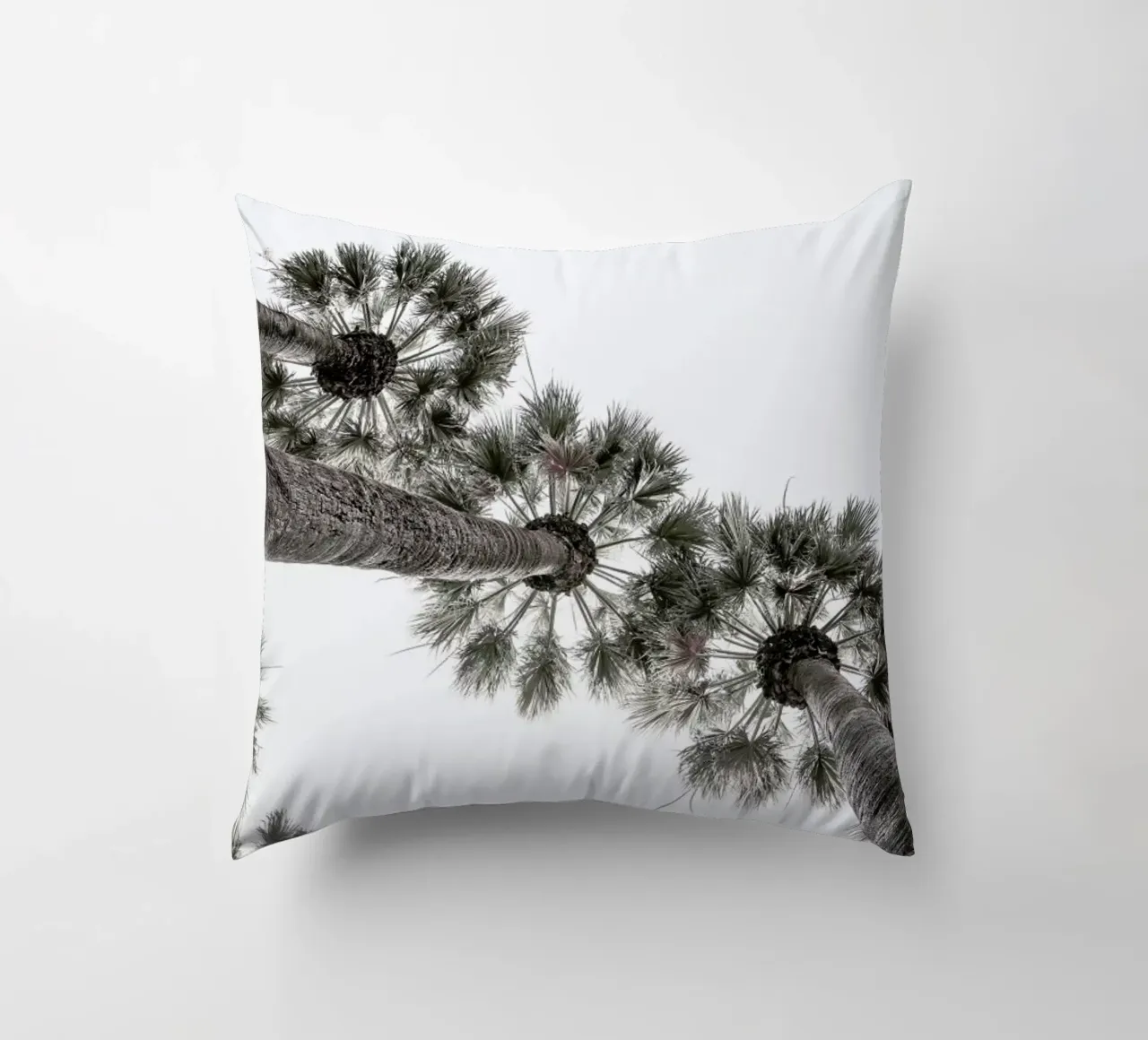 Desert Palm 02 cuscino da Shot By Clint