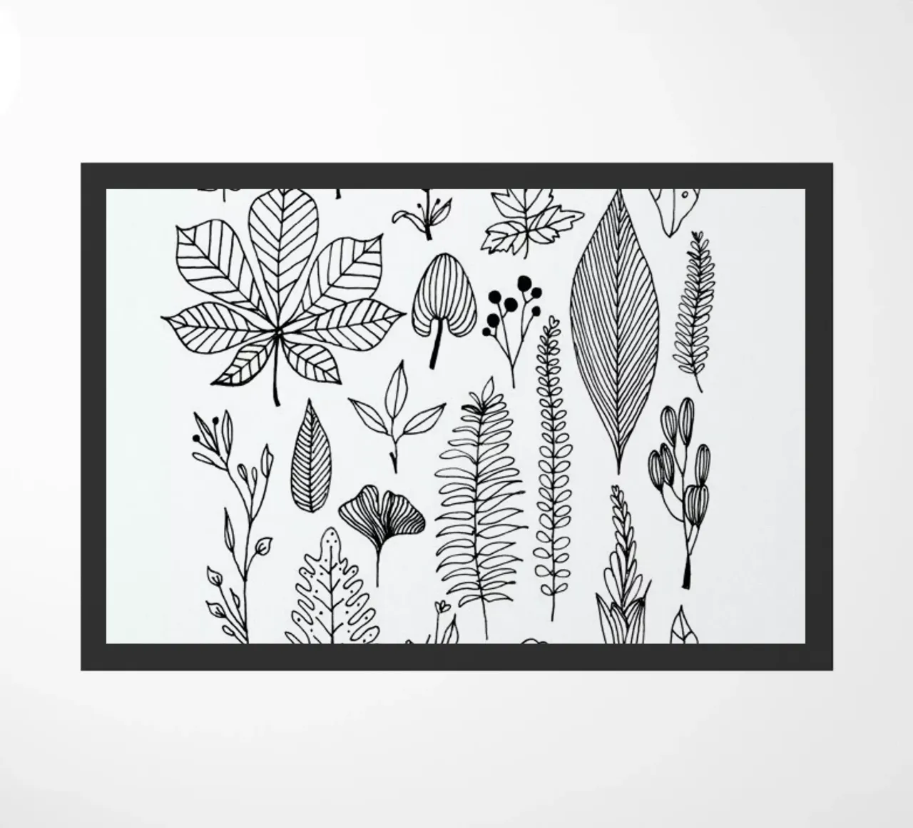 Herbarium Line Drawing zerbino da Miles of Light
