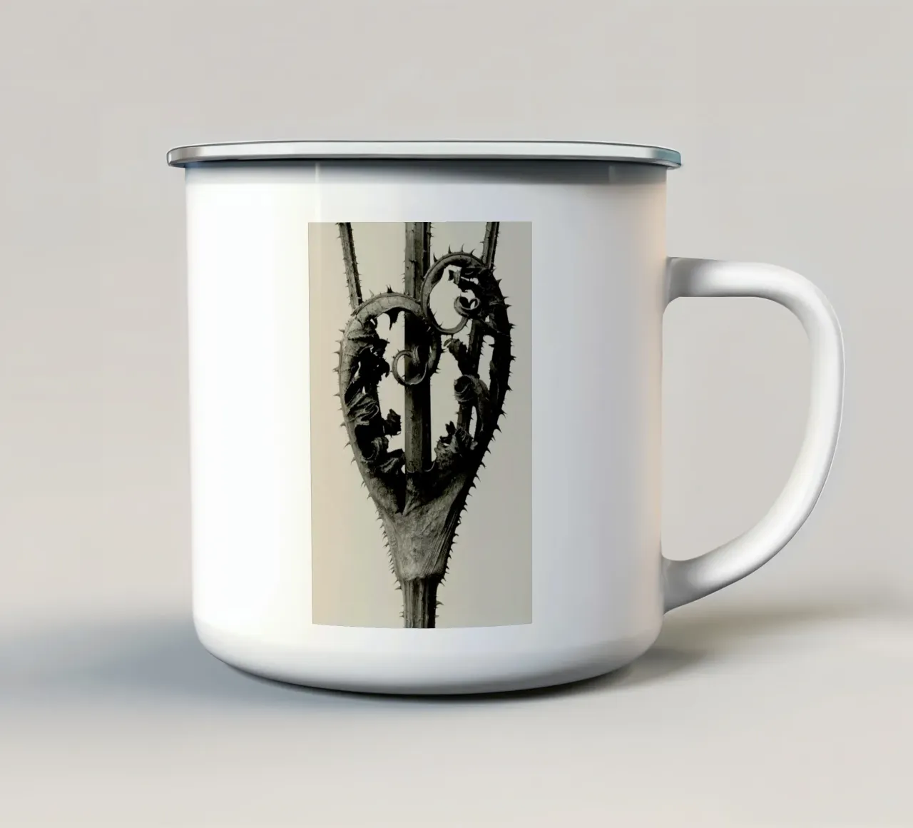 Dipsacus Laciniatus - Karl Blossfeldt tazza in smalto da Artokoloro Quint Lox Ltd