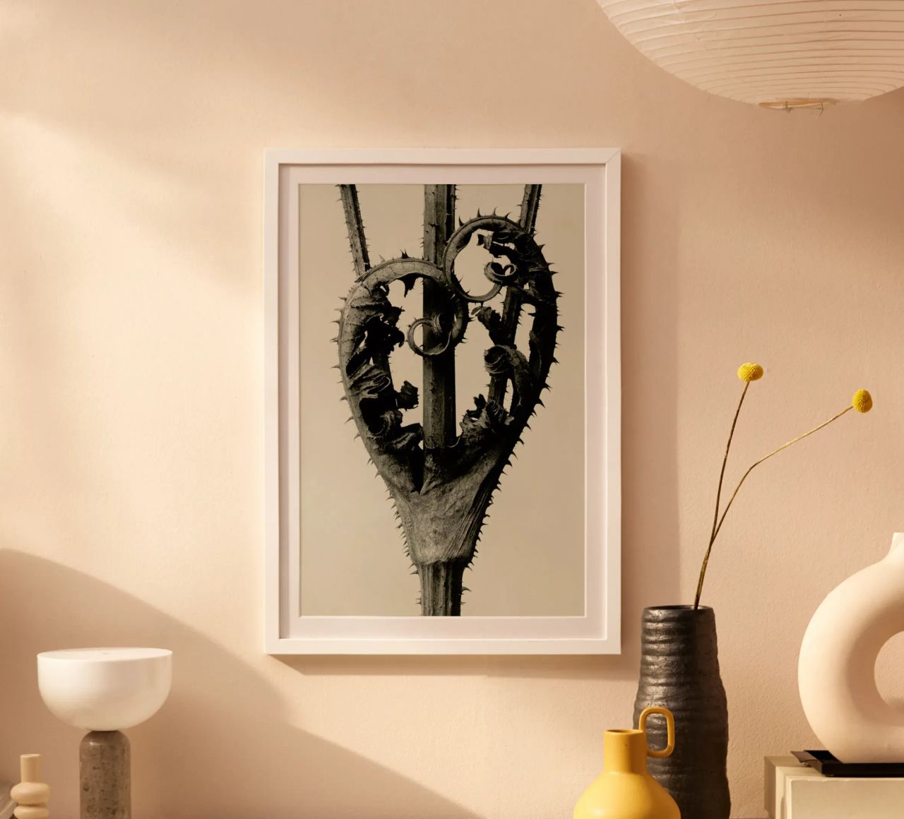 Dipsacus Laciniatus - Karl Blossfeldt Poster von Artokoloro Quint Lox Ltd