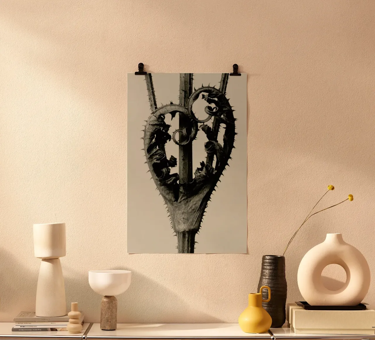 Dipsacus Laciniatus - Karl Blossfeldt poster con telaio in plastica da Artokoloro Quint Lox Ltd