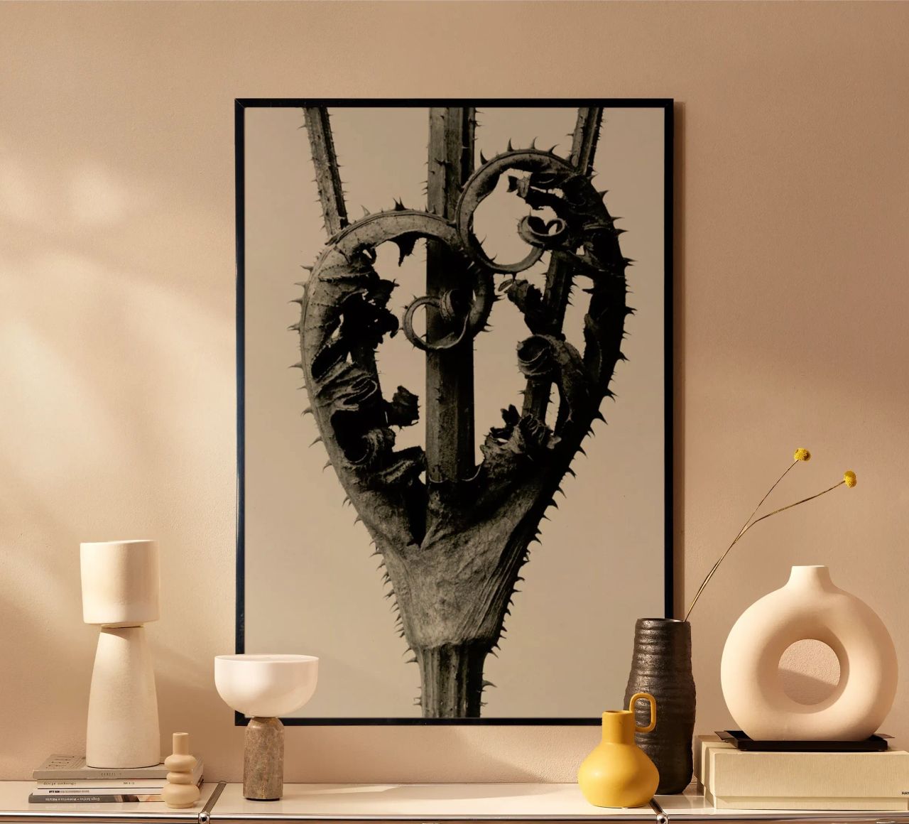Dipsacus Laciniatus - Karl Blossfeldt Poster von Artokoloro Quint Lox Ltd