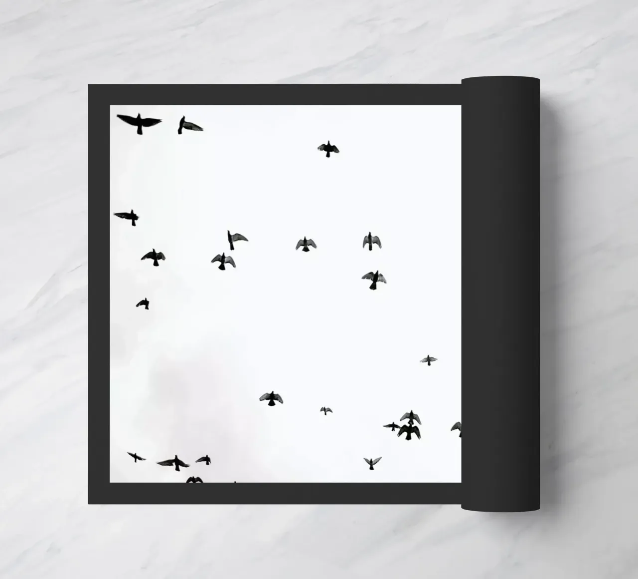Flight & Freedom 03 zerbino da Shot By Clint