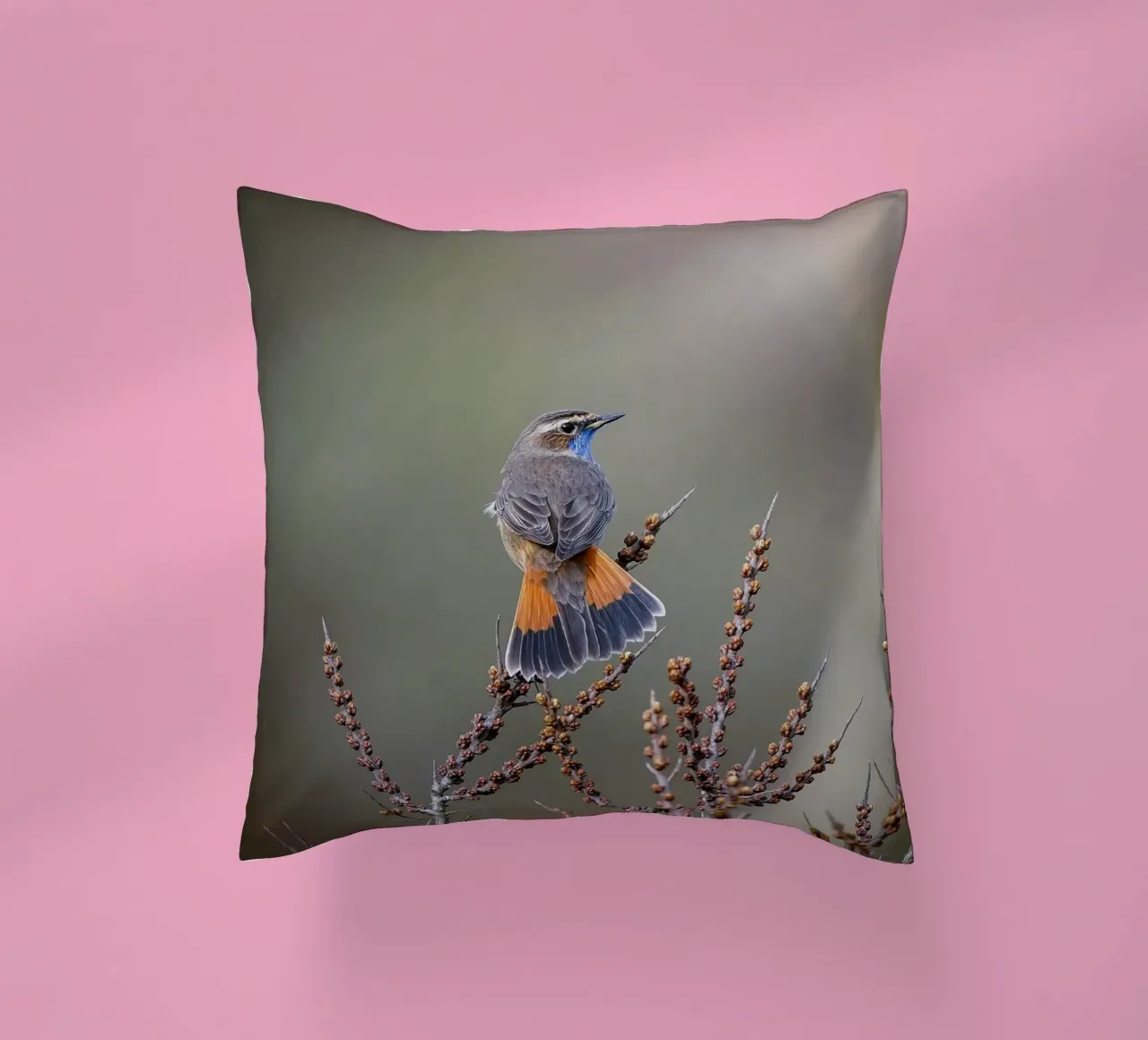 Gatto blu cuscino da Tom's Wildlife