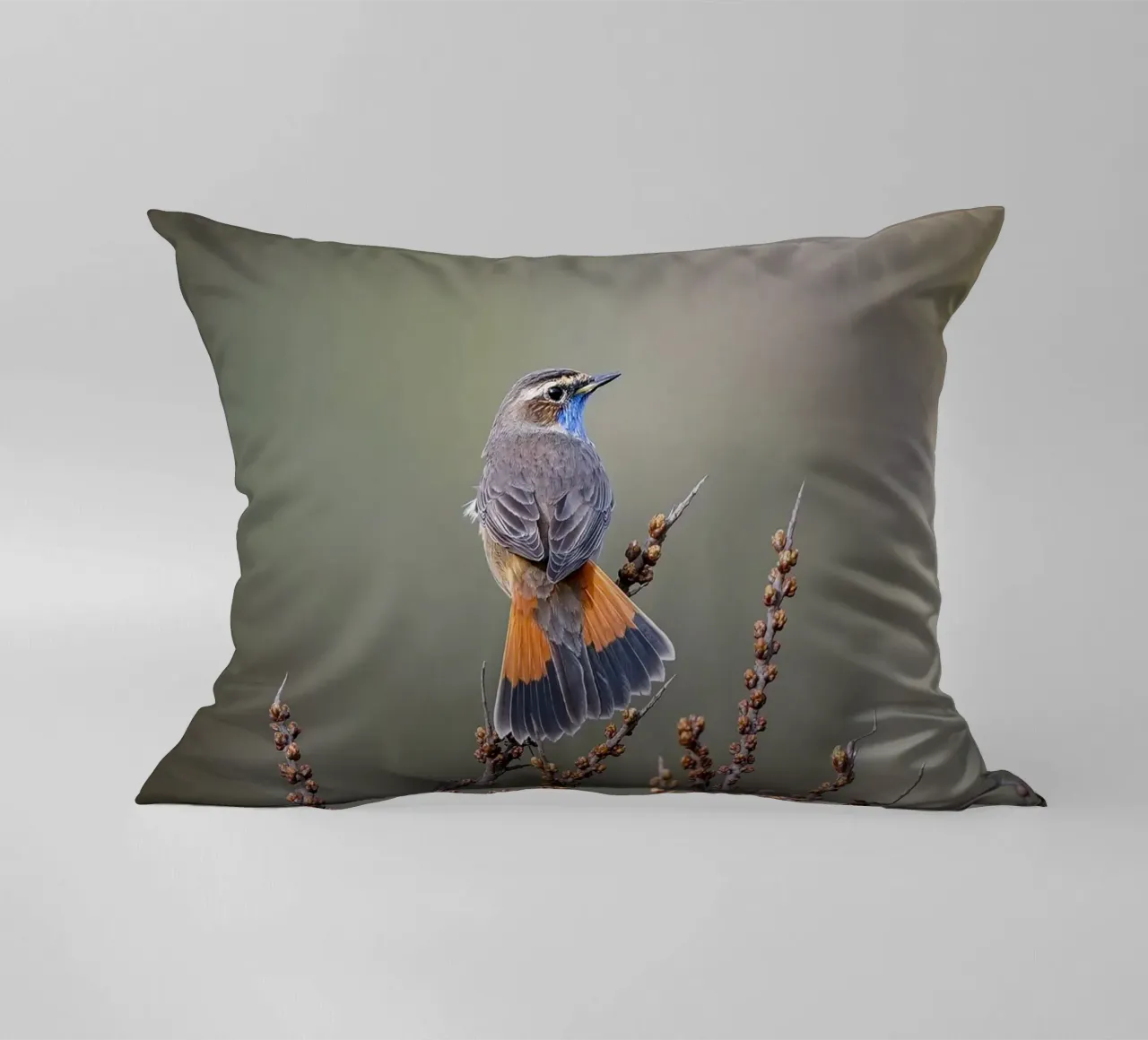 Gatto blu cuscino da Tom's Wildlife