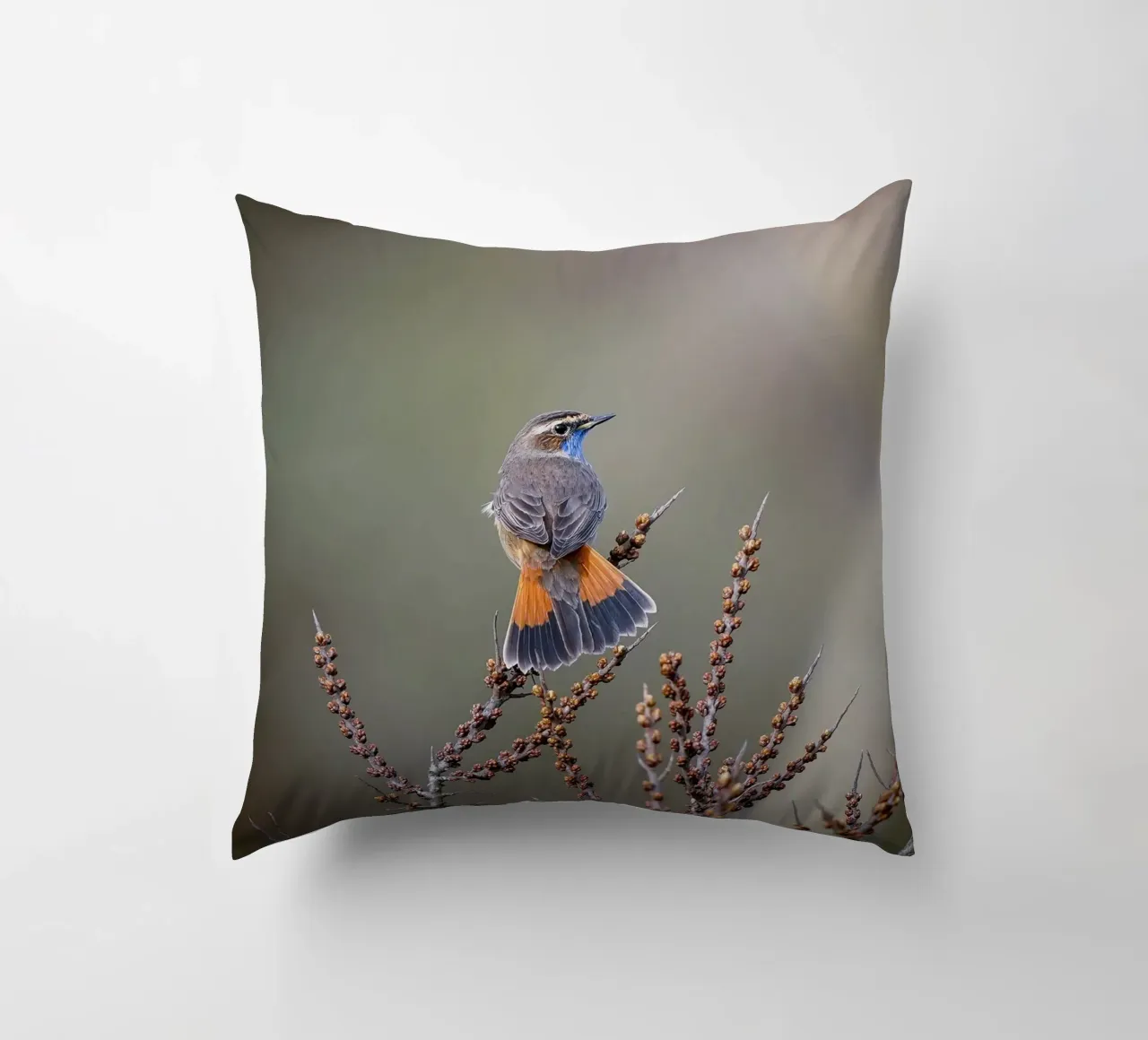 Gatto blu cuscino da Tom's Wildlife