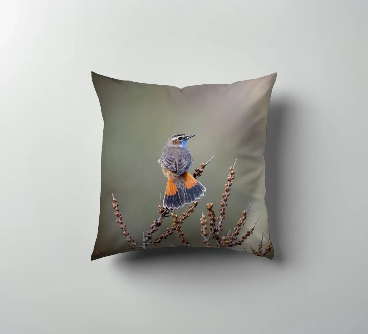 Gatto blu cuscino da Tom's Wildlife