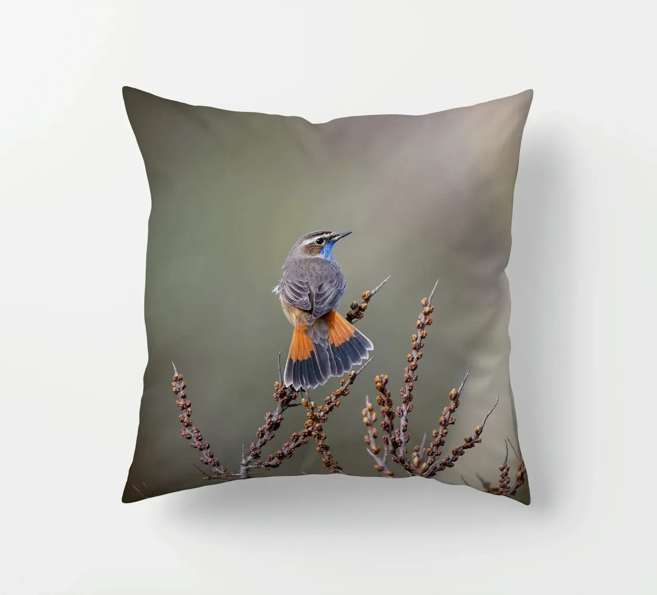 Gatto blu cuscino da Tom's Wildlife